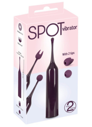 Spot Vibrator with 2 tips